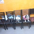 삼순이방앗간 이미지