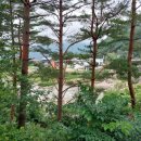 백담 파인밸리 이미지