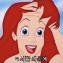 더포비 이미지