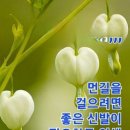 건강정보ㅡ 운동중에 발뒷꿈치 들기ㅡ 이운동을 안하면 후회 합니다ㅡ 발 뒤꿈치 들기 운동은 ㅡ 때와 장소를 가리지 않고 ㅡ 할 수 있 이미지