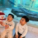 (주)헤븐스카이 | 부산 명지키즈카페 아쿠아플레이 하우스 수족관 키즈카페