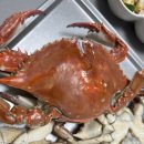 라라샵 명덕점 | 봄꽃게철 안양 농수산물 도매시장 제철 꽃게 찌는 시간