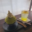 4461 | [대전 카페] 유성 노은동/지족동/반석동 백정화(1인 말차빙수, 레모나에이드) 솔직 후기