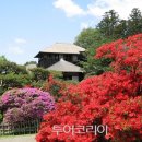 보석같은얼굴