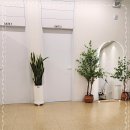 힐링나우 이미지