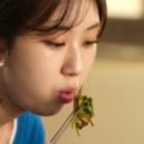 등촌동버섯매운탕 - 14530 | 등촌동버섯매운탕