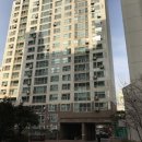 상락약국 Daum카페
