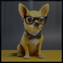 와우노래방 이미지