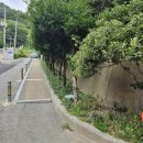 부산12교 이미지