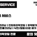 그린힐스팀세차
