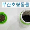 부산초량동물약국 이미지