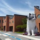 반려마루 화성 이미지