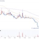 푸드나무 비즈워치