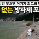 보리멸 낚시 이미지