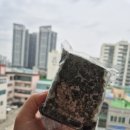 부흥떡방앗간 - 영등포구 도영로 50 | 부흥떡방앗간
