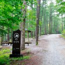 덕유산자연휴양림 이미지