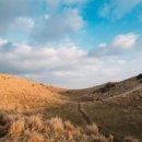 도리민박 이미지