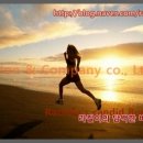 양도로-L 이미지