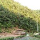 개성농장 이미지