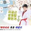 신정 태권도장 이미지