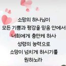 샬롬 Daum카페