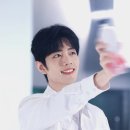 삼림영상 이미지