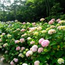 사계절풍경 이미지