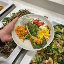 플레이트그린 이미지