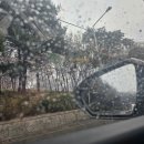 Rain 이미지