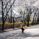 여주대학교 이미지