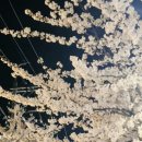 서화 행정사사무소 이미지