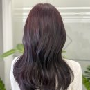 지혜샵 네이버블로그