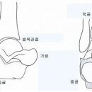 제 4장 신발의 인체공학적 평가 - 1. 후족동작제어 - 2.1 후족동작의 측정 방법 이미지