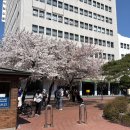 정자교회 화장실 | 대구당일치기 청라언덕에서 진골목까지 도보여행코스