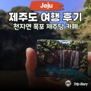 천지연 폭포 | 8월 제주 여행 후기 천지연 폭포 쇠소깍 제주당 카페