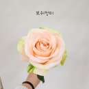 혜인즈블라썸플로리스트화훼학원