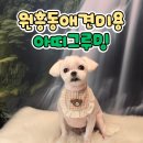 아띠그루밍 이미지