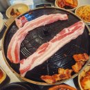 고굽마 네이버블로그