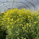 대산농장2 이미지