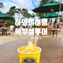 만덕농장 | 하와이 신혼여행 오아후 6박8일 둘째날 하와이 섬투어 북부섬투어 새우트럭 Dole 파인애플농장 필수