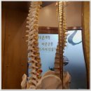 여의도 마사지 케이소울 체형관리 여의도점에 다녀온 후기