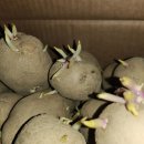 도순경로당 이미지