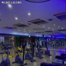 엑스로즈 이미지