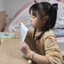 문해력을 키우는 재미솔솔 독서교실 | [백일독서 실제 후기] 7세! 초등 입학 전 독서습관, 문해력 키우는 든든한 수업
