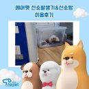 강동-길동-2584 | 강동구 길동 강아지 산소발생기/산소방 이용 후기