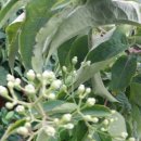 김기영농장 이미지