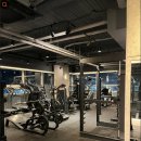 라인핏피티 이미지