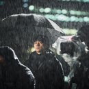 영일의원 | [영화] ❝설계자❞ 줄거리 결말 명대사 보러가기 ott