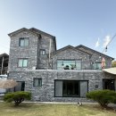 행복 애견방 | 강릉 애견동반 스테이미노 내돈내산 솔직후기