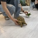 베프랑 | 광명 키즈카페 리틀베프 후기｜주차, 가격, 파충류 체험까지 총정리✨